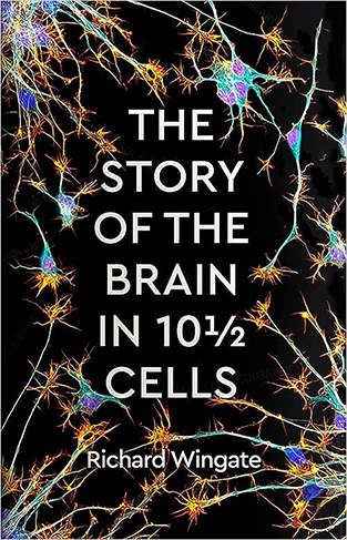 The Story of the Brain in 101⁄2 Cells